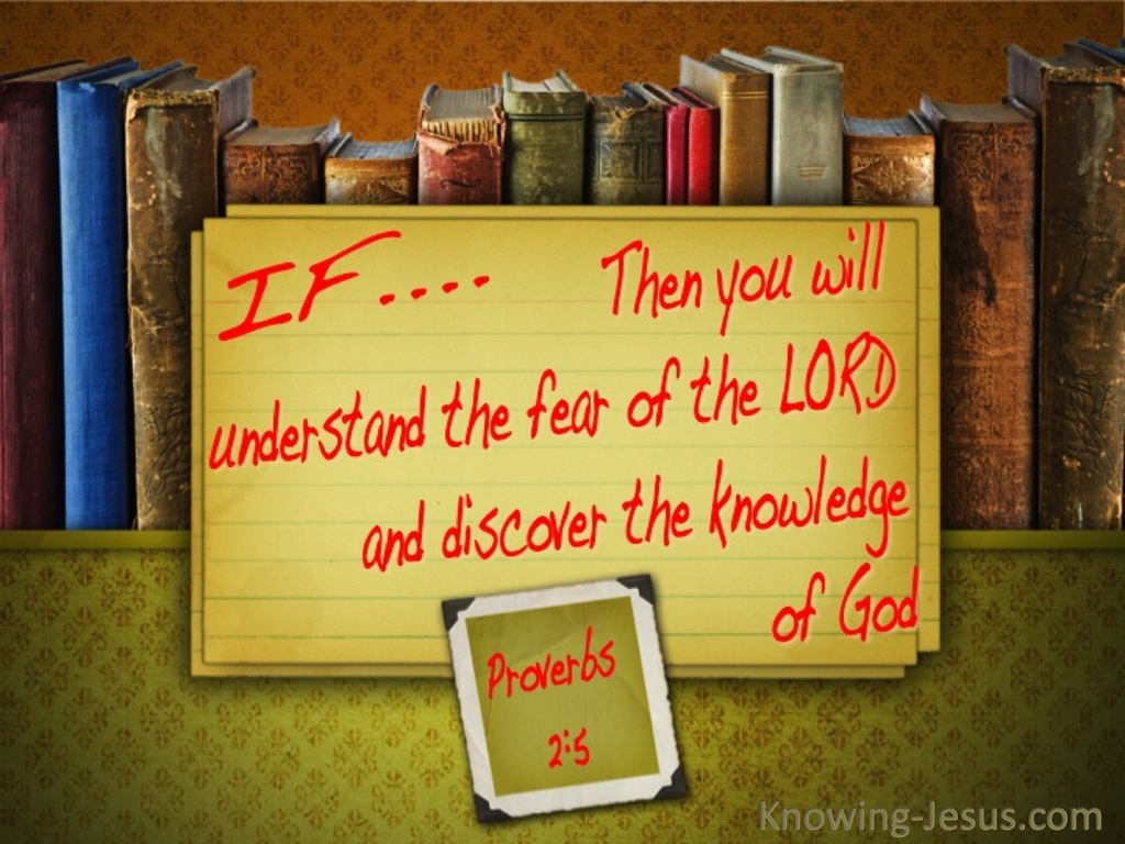 Proverbs 2:5 Understand The Fear Of The Lord (brown)